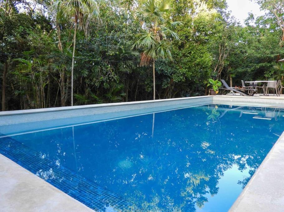 Aku-Chic Newly Furbished Condo Jungle Pool Xetna Екстер'єр фото